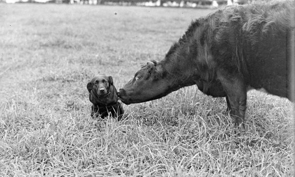 Culture Perth & Kinross - 