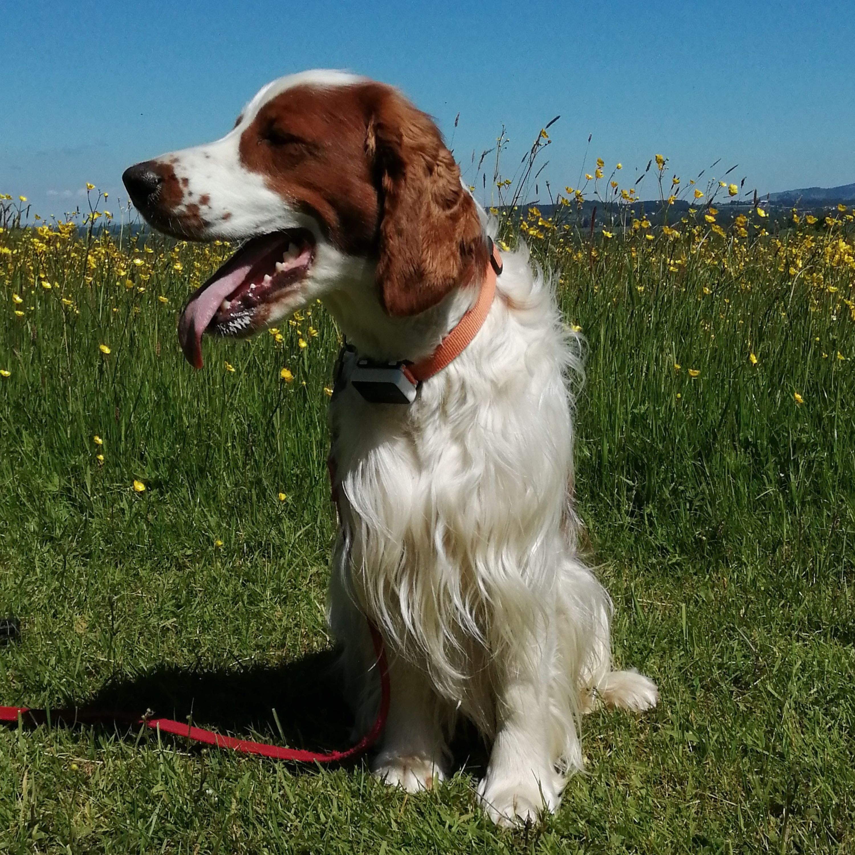 Auchterarder Library 4 Culture Perth & Kinross -