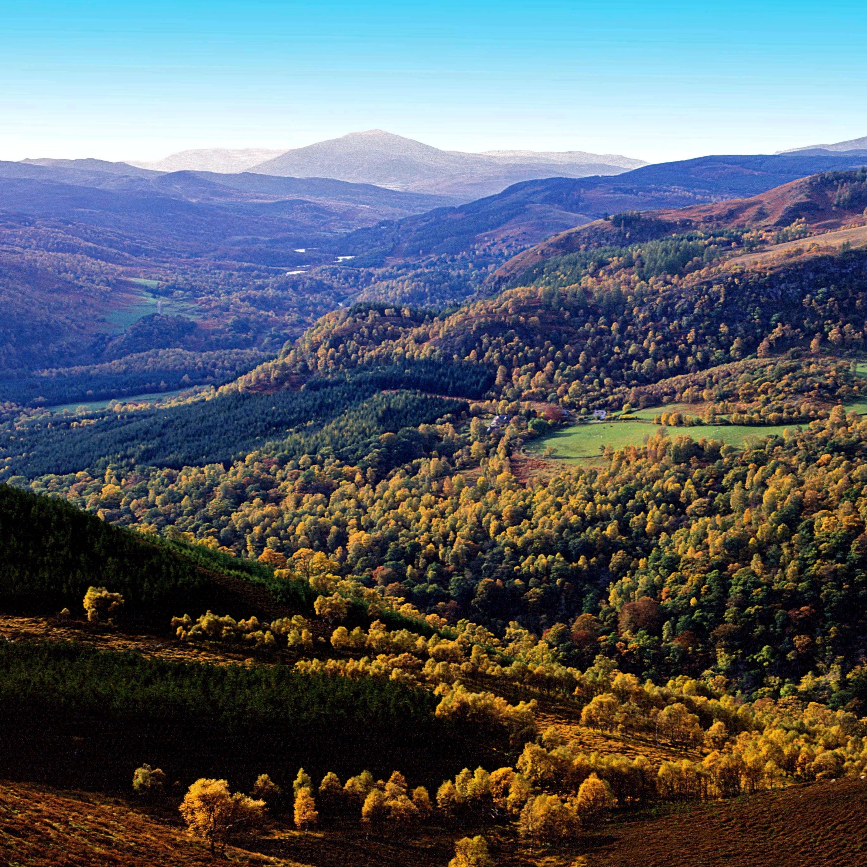 Culture Perth & Kinross - 