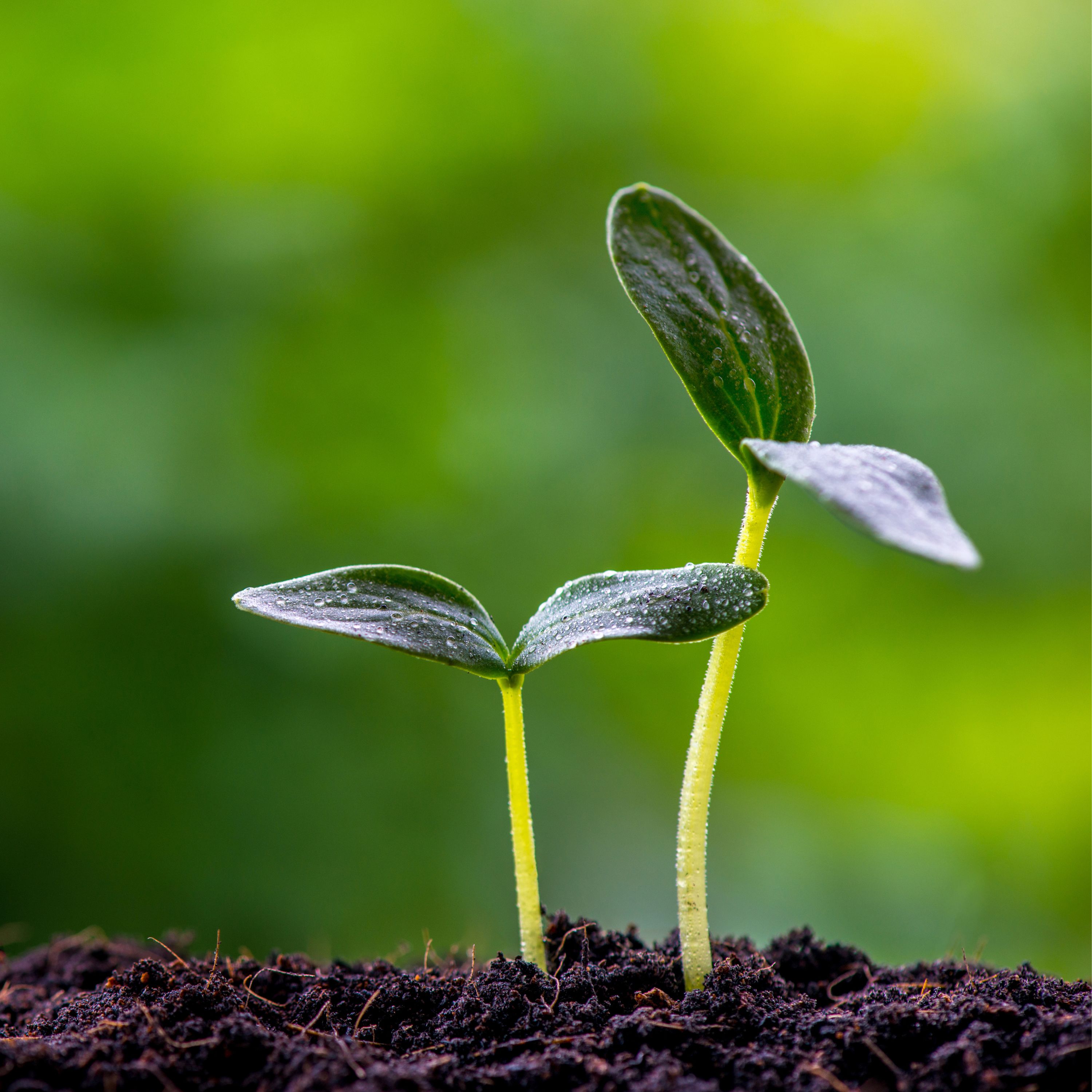 Culture Perth & Kinross - 