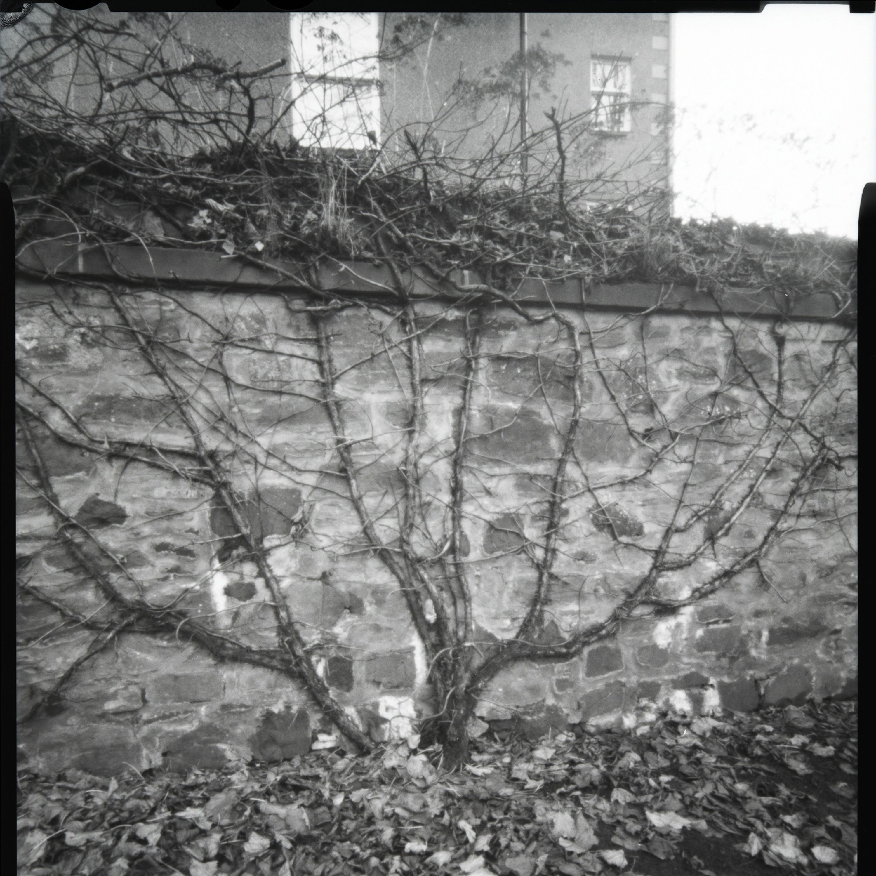 Culture Perth & Kinross -