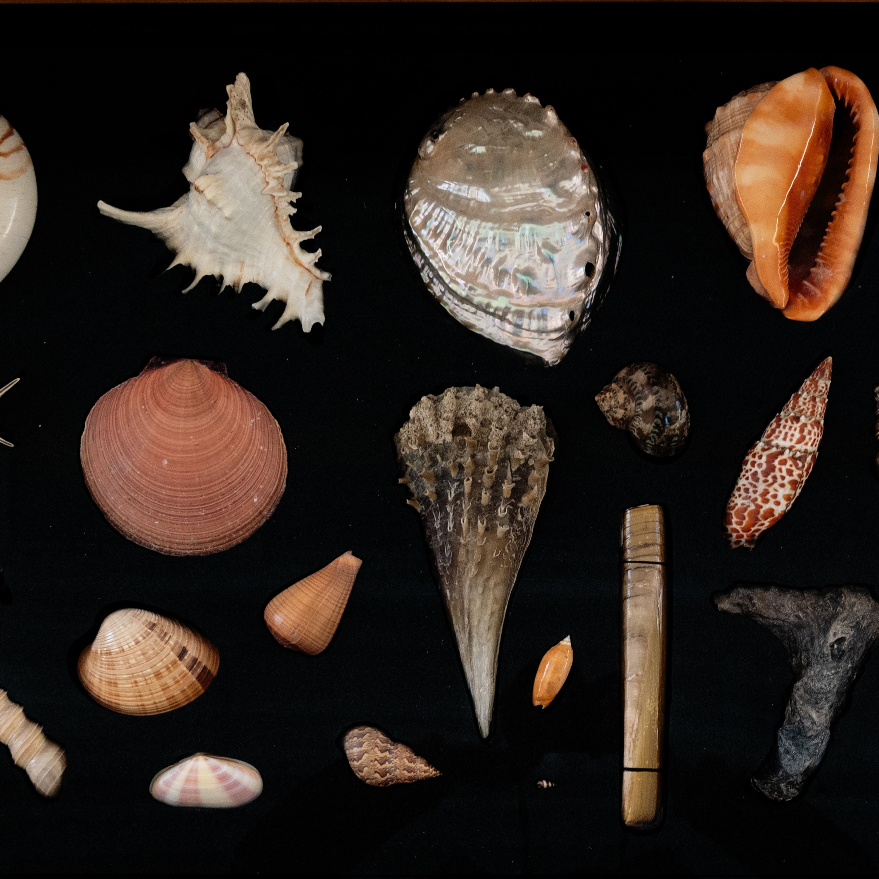 Culture Perth & Kinross -